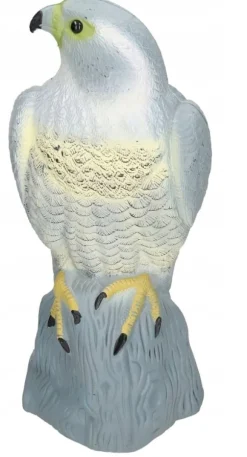 FALK FÅGELAVSKÄRARE STARA DUVOR MÖSS