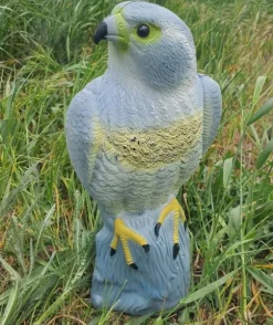 FALK FÅGELAVSKÄRARE STARA DUVOR MÖSS