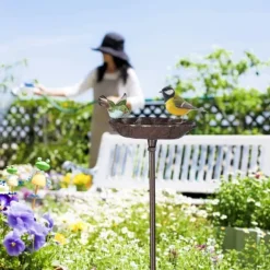 Fågelbad, 100x18,5x13 cm, Brun