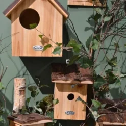 Fågelholk med tak av bark Talgoxe