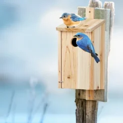 Fågelholk, Trä, 26x12x14,5 cm, Natur