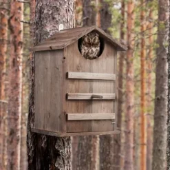 Fågelholk, 38.5x25x28 cm, Brun