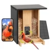 Fågelmatare - Birdfy Bamboo - HD WiFi Kamera - Solenergi - AI Artighetsigenkänning