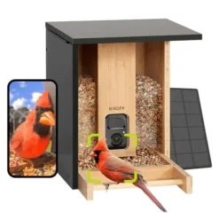 Fågelmatare - Birdfy Bamboo - HD WiFi Kamera - Solenergi - AI Artighetsigenkänning
