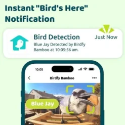 Fågelmatare - Birdfy Bamboo - HD WiFi Kamera - Solenergi - AI Artighetsigenkänning