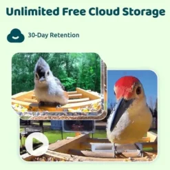 Fågelmatare - Birdfy Bamboo - HD WiFi Kamera - Solenergi - AI Artighetsigenkänning