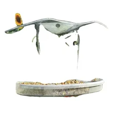 Fågelmatare för fönster, starka sugkoppar, hållbar design,Klar