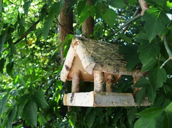 Fågelmatare i trä – fågelhus K110