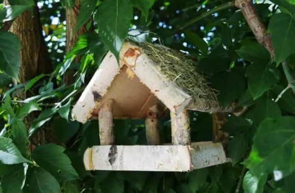 Fågelmatare i trä – fågelhus K110