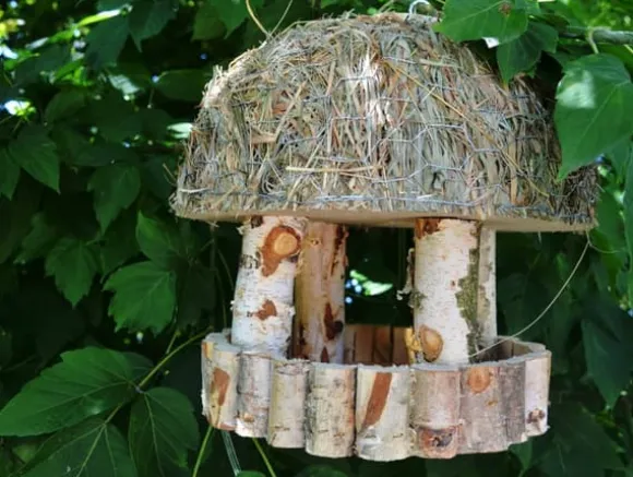 Fågelmatare i trä – fågelhus K110