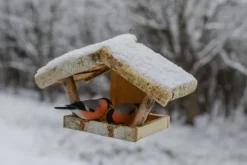 Fågelmatare i trä – fågelhus K110