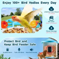 Fågelmatare med kamera, 33,5x22x27,5 cm, solcellsdriven, utomhus fågelskådning