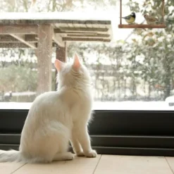 Fågelmatare, Trä, 16.5x21x8 cm, Brun