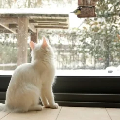 Fågelmatare, Trä, 17x15x12 cm, Natur