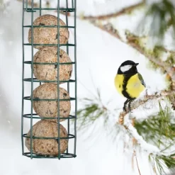 Fågelmatare, 31x8.5 cm, Grön