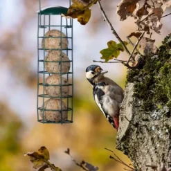 Fågelmatare, 31x8.5 cm, Grön