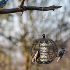 Fågelmatning, 21x22.5 cm, Svart