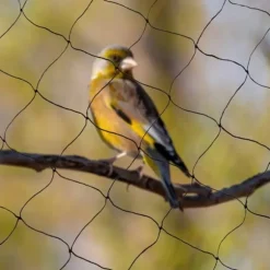 Fågelnät & Voljärnät - Skyddsnät - Storlek 30 x 15 m - Maskstorlek 5 x 5 cm - Polyester - Rektangulär - För trädgård, balkong, damm - Svart