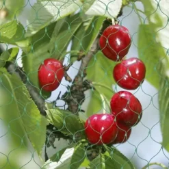 Fågelnät grönt 4x5m
