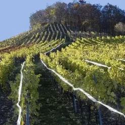 Fågelskrämma Tejp | Reflexband Fågelband för Balkong 50m