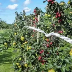Fågelskrämma Tejp | Reflexband Fågelband för Balkong 50m