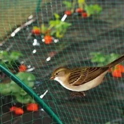 Fågelskyddsnät - 6x4 m