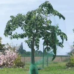 Fågelskyddsnät - 6x4 m