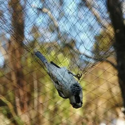 Fågelskyddsnät Trädgårdsväxtnät för trädgårdsväxter Grönsaker Frukt