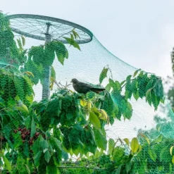 Fågelskyddsnät, 5x4 m, Grön, Kodustaar