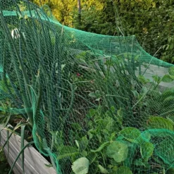 Fågelskyddsnät, 5x4 m, Grön, Kodustaar