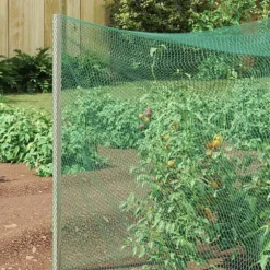 Fågelsskyddsnät - vidaXL - 2x25 m - Polyeten - Grön - Inomhus- och utomhusbruk