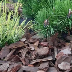 Finprimer för trädgårdsbruk för tallbark 50L 0-10mm