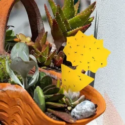 Flugfångare / Klibbig Insektsfälla, 20-pack