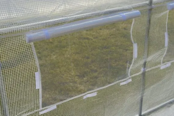 Folietunnelväxthus med fönster 600 x 300 x 200 cm Vit