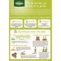 Frö - Vilmorin - Ärtor Mangetout Carouby de Maussane - 20 m