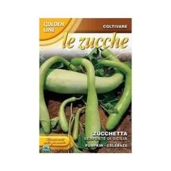 FRÖ AV SICILIANSK ORMSKURKORTI, TRÄDGÅRD, FRÖN