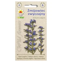 Frö till blåeld – Vacker och nektarrik perenn för fjärilar och bin