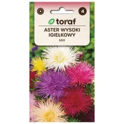 Frö till Chinese Needle Aster Mix – Högväxande och färgstark sommaraster