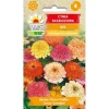 Frö till dahlia-zinnia mix – Färgstarka, stora blommor för rabatter och buketter
