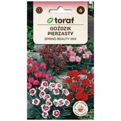 Frö till fjädernejlika Spring Beauty Mix – Doftande och långblommande perenn