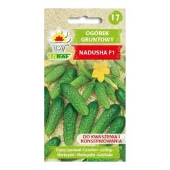 Frö till gurka Nadusha F1 – Högavkastande och perfekt för inläggning