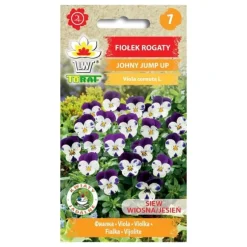Frö till hornviol Johnny Jump Up – Färgstark och blomvillig perenn