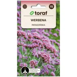 Frö till jätteverbena – Långblommande perenn som lockar pollinatörer