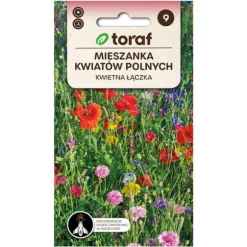 Frö till ängsblommor Mix – Naturlig och färgstark blomsteräng