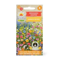 Frö till ängsblommor Mix Snabblommande – Färgsprakande blomsteräng på bara några veckor