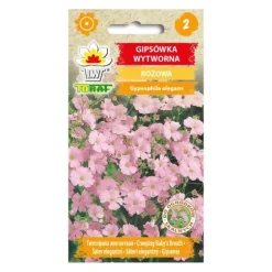 Frö till rosa sommarslöja – Lätt och luftig blomning för rabatter och buketter