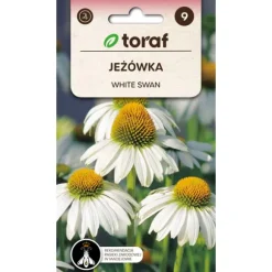 Frö till solhatt White Swan – Vitblommande perenn som lockar fjärilar