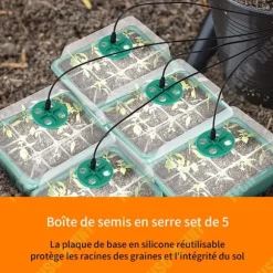 Fröbox - TECH DISCOUNT - 10 stycken - Ekologisk plast - Transparent lock - Lufthål