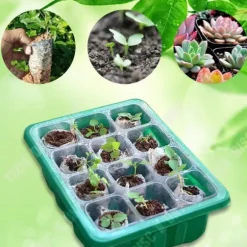 Fröbox - TECH DISCOUNT - 10 stycken - Ekologisk plast - Transparent lock - Lufthål