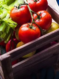 FÄRDIG BIOJORD FÖR GRÖNSAKER OCH TOMATER BIOVITA 50L MED GÖDSEL